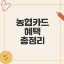 비지에프리테일부여중앙점 | 농협카드의 모든 혜택과 바람직한 선택은 무엇인가