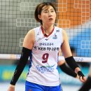 박정아 카카오 검색결과