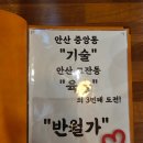 모모스테이션 안산중앙점 | 다양한 수제요리와 주류에 친절함까지 가득한 곳 고잔동 술집 반월가(콜키지가능)