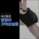 도시기억상실증 네이버블로그