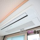 양재숲약국 이미지