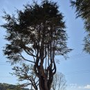 내동유수 파크골프장 이미지