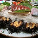 신태평양 이미지