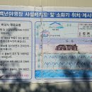 백년펜션 야영장 이미지