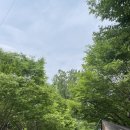 귤암리캠핑장 | 🍊[귤암리 캠핑장] 귤없는 귤암리 캠핑장, 미친 힐링 캠핑장 소개2