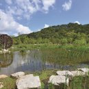 로컬 플러스 이미지