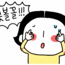 디테일러명 이미지