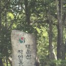 경남 양산 캠핑 대운산 자연휴양림 예약, 명당자리, 부대시설
