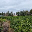 고마운행정사 이미지