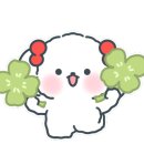 락준정신 이미지