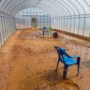 영산강둔치체육공원 이미지