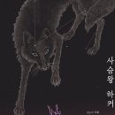 선스시