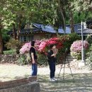 나도 팬플룻 연주자 이미지