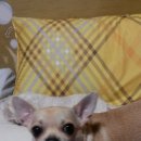 간석3동-13 이미지