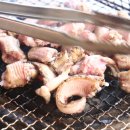 바다산꼼장어 이미지