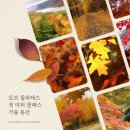 토브필라테스 - 성남시 분당구 정자일로 177 | 토브필라테스