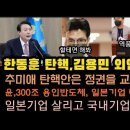 한동훈 탄O 민주당 신중론! 일본기업 대거 유치 충격. 이미지