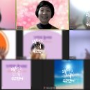 천호 태양광발전소 이미지