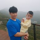 어무이새싹보리밥 이미지