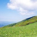 귀둔리 삼거리 이미지