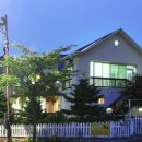 하얀나무펜션 이미지