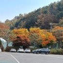 서종체육공원 이미지