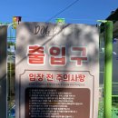 두유 개린이집 | 도그베이 838 (서울) : 도심 속 개터파크에서 신나는 휴양🐶!! (+야간개장)