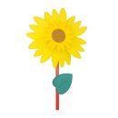 해바라기유치원 이미지