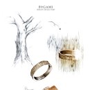 바움콜렉션