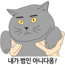 지경희동물병원 이미지