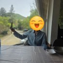 오리둥지 | 4월 기록 - 양산 반나절 코스 후기｜둥지가든 오리백숙·범어사 산책·성림목장 아이스크림