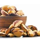 견과류 제왕 'Brazil Nut' 효능 이미지