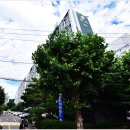 (주)럭키소재 이미지