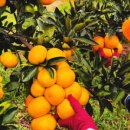 지인농원 이미지