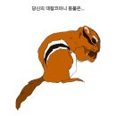 데칼코마니 동물 Test 이미지