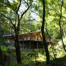 경주 한채 이미지