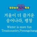 평창송어축제 이미지