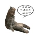 목포미즈아이병원