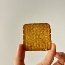 에이스어린이집 | 평소 에이스 좋아한다면 더 반할 맛 🥕 해태 에이스야채 크래커, 고소하고 바삭한 신상과자 후기
