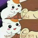 어서와 댕댕아 | [대구] 혼여 튜토리얼③ 데우스커피, 대구하우스, 동아식당, 경상감영공원