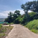 오조리-5 이미지