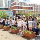 송일초등학교 이미지