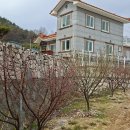 선학농장 이미지