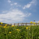 곰배령끝집 이미지