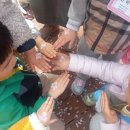 달천 유아숲체험원 이미지