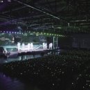 D.H 네상스 이미지