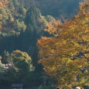 N130 | [필름카메라] 캐논 오토보이 N130 (코닥 울트라 400)