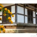 임천농장 이미지