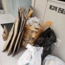 신사동클린