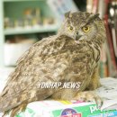 김신환동물병원 이미지